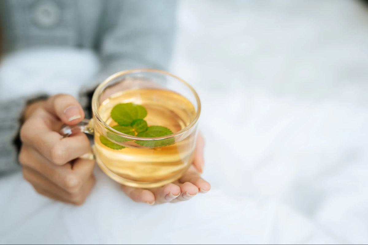 🌿Digestión y bienestar
